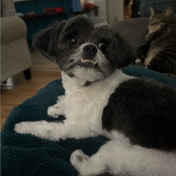 Unlisted Item - Picture 2 of 2